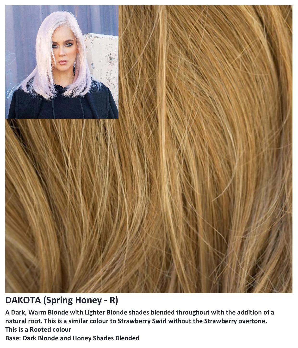 Dakota wig Rene of Paris Hi-Fashion (Long) - Hairlucinationswigs Ltd