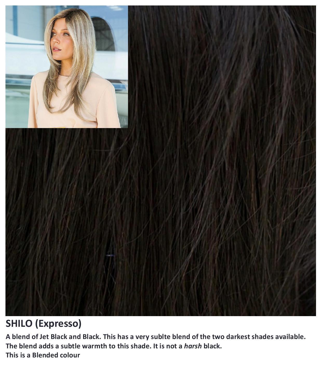 Shilo wig Rene of Paris Noriko (Long) - Hairlucinationswigs Ltd